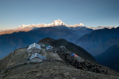 Khopra Ridge Trek